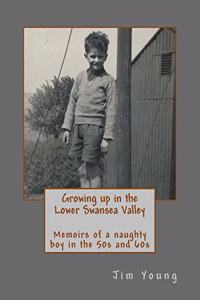 Growing up in the Lower Swansea Valley: Memoirs of a naughty boy in the 50s and 60s