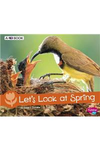 Let's Look at Spring