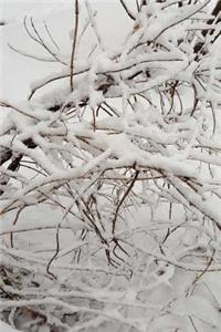 Scenic Winter Photo Journal Snow Covered Branches