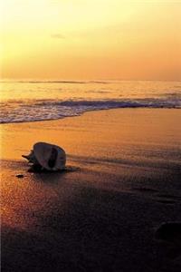 Sunset Over Water Journal
