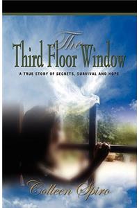Third Floor Window