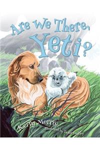 Are We There Yeti