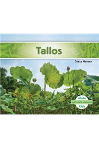 Tallos (Stems ) (Spanish Version)