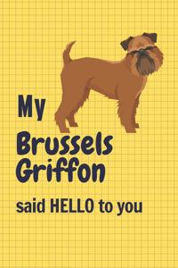My Brussels Griffon said HELLO to you