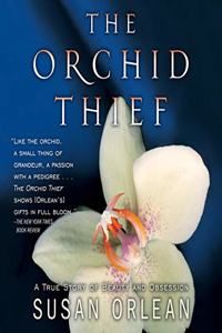 Orchid Thief