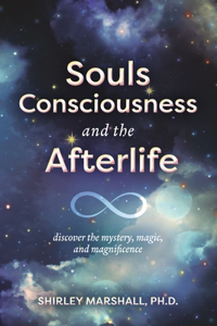 Souls Consciousness and the Afterlife