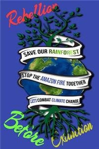 Rain Forest, Amazon Fires & Climate Change