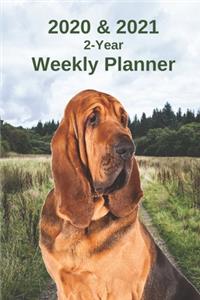 2020 & 2021 Weekly Planner - Two Year Appointment Book Gift - Two-Year Agenda Notebook for Bloodhound Dog Owners