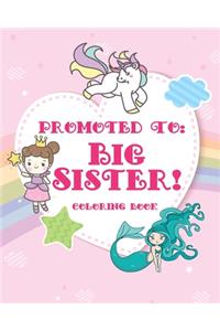Big Sister Coloring Book