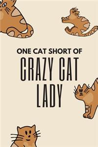 Cute Crazy Cat Lady Planner for 2020