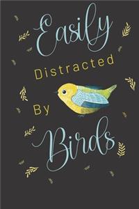 Easily distracted by birds