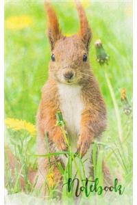 Cute squirrel notebook. 120 lined pages 5