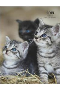 2019 Kitten Daily Planner: Hourly Organizer in 15 Minute Interval; Appointment Cat Calendar with Address Book & Note Section; Monthly & Weekly Goals Journal with Quotes; Acade