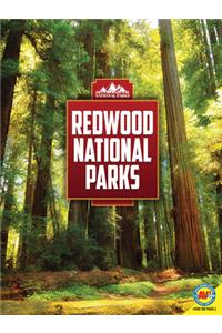 Redwood