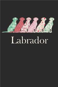 Labrador