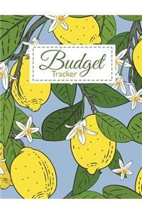 Budget Tracker