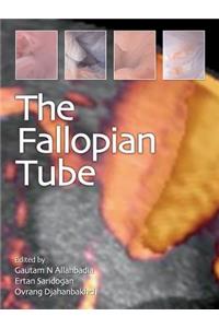 The Fallopian Tube