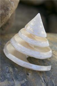 Charming Spiral Seashell Journal