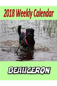 2018 Weekly Calendar Beauceron