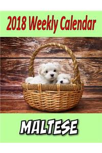 2018 Weekly Calendar Maltese