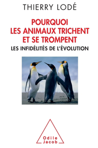 Pourquoi les animaux trichent et se trompent