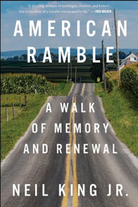 Renewal and Walk of Memory