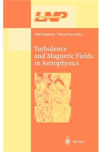 Turbulence and Magnetic Fields in Astrophysics