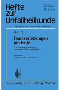 Bandverletzungen Am Knie