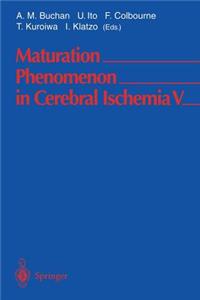 Maturation Phenomenon in Cerebral Ischemia V