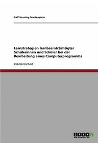 Lernstrategien Lernbeeintrachtigter Schulerinnen Und Schuler Bei Der Bearbeitung Eines Computerprogramms