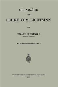 Grundzüge der Lehre vom Lichtsinn