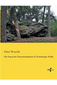 Fauna des Neocomsandsteins im Teutoburger Walde