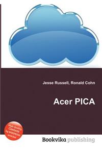 Acer Pica