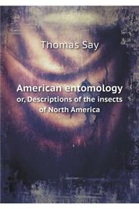 American Entomology Or, Descriptions of the Insects of North America