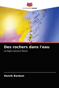 Des rochers dans l'eau