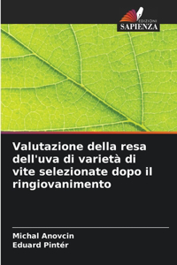 Valutazione della resa dell'uva di varietà di vite selezionate dopo il ringiovanimento