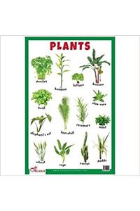 Plants - Educational Chart
