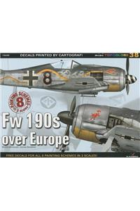 FW 190s Over Europe Part II