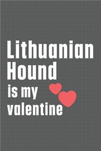 Lithuanian Hound is my valentine