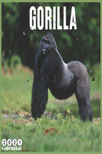 Gorilla 2021 Calendar