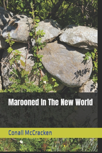 Marooned In The New World