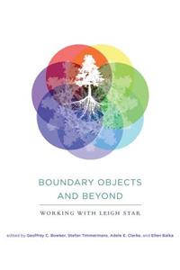 Boundary Objects and Beyond