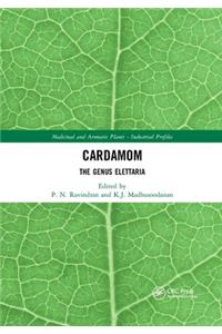 Cardamom