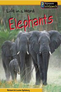 Life in a Herd of Elephants