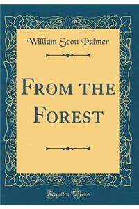 From the Forest (Classic Reprint)