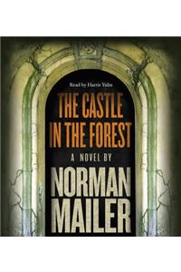 The Castle in the Forest