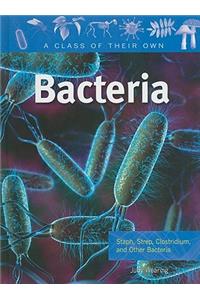 Bacteria: Staph, Strep, Clostridium, and Other Bacteria