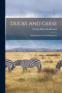 Ducks And Geese