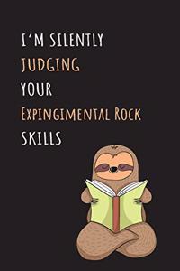 I'm Silently Judging Your Expingimental Rock Skills