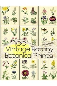 100 Vintage Botany Botanical Prints Volume 2